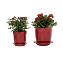 Load image into Gallery viewer, Berry &amp; Thread Ruby 5.25&quot; Planter &amp; Saucer
