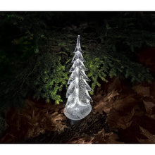 Load image into Gallery viewer, Silver Leaf Evergreen, 6&quot;
