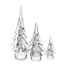 Load image into Gallery viewer, Spruce Evergreen, 6&quot;
