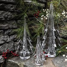 Load image into Gallery viewer, Spruce Evergreen, 10&quot;
