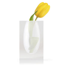 Load image into Gallery viewer, Lucite Block 5&quot; Bud Vase, Frosted
