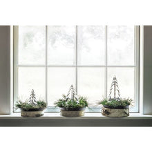 Load image into Gallery viewer, Vermont Evergreen, 6&quot;

